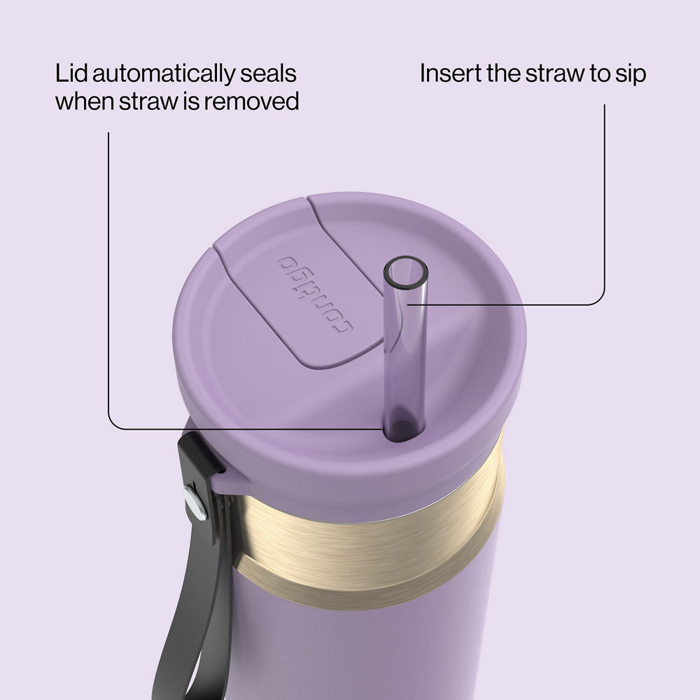 24oz-snapsealtm-bottle-i5 bevt0009_contigo_2231080_snapseal_24oz_straw_purplecarrot_atf4